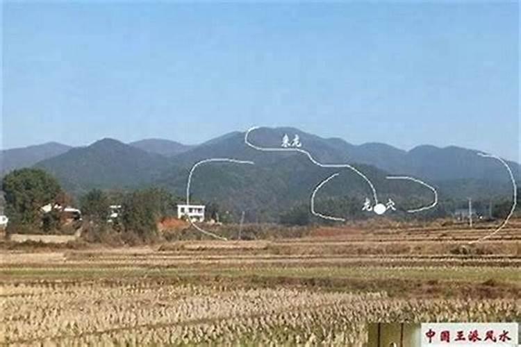 给主人带来好运的猫名字