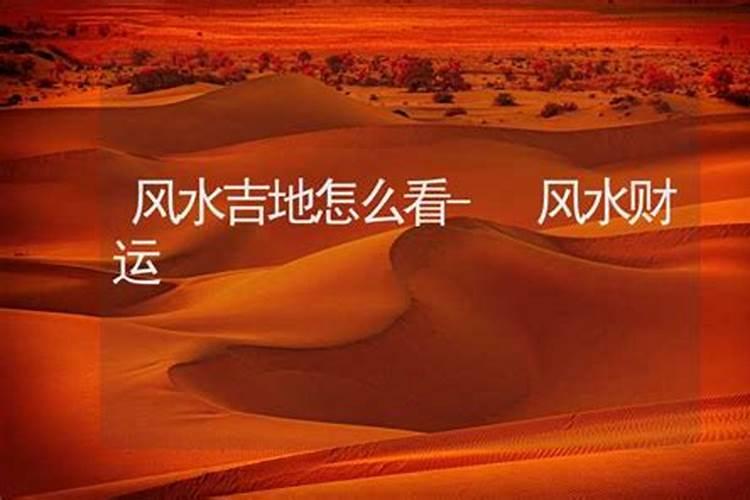 充气砖隔墙多少钱一平