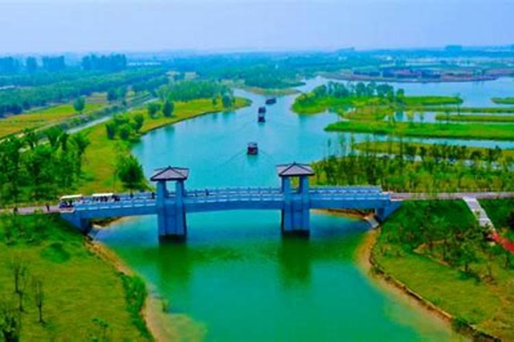 办公室门前有一块土壤空地,种植什么植物利于风水呢？