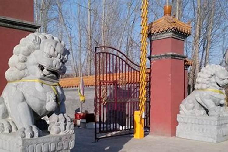 门口放什么辟邪的东西