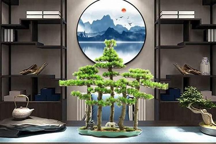 风水学客厅盆栽的摆放位置