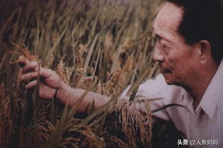 历史上属羊和属羊的模范夫妻 属羊夫妻适合什么孩子