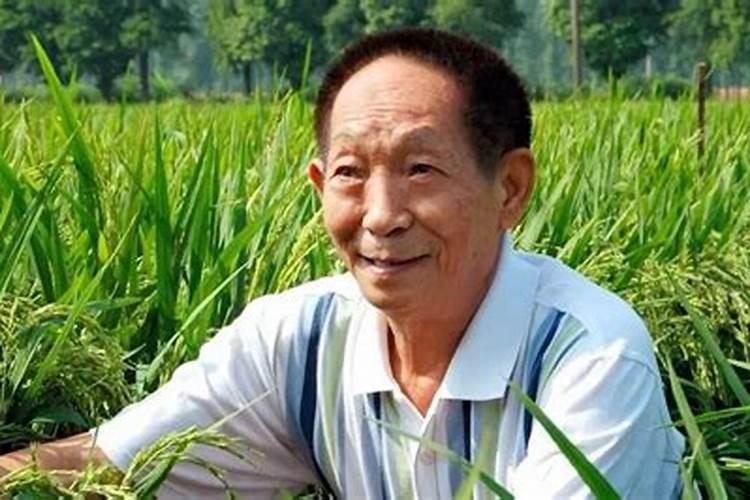 你是如何看待袁隆平的？