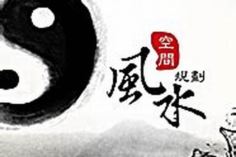 朱玲玲面相惊人,最旺夫的脸型