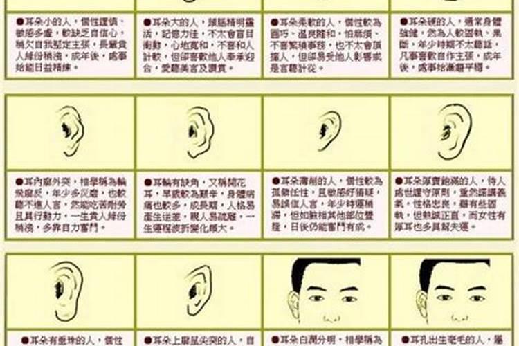面相看哪些人聪明有灵气