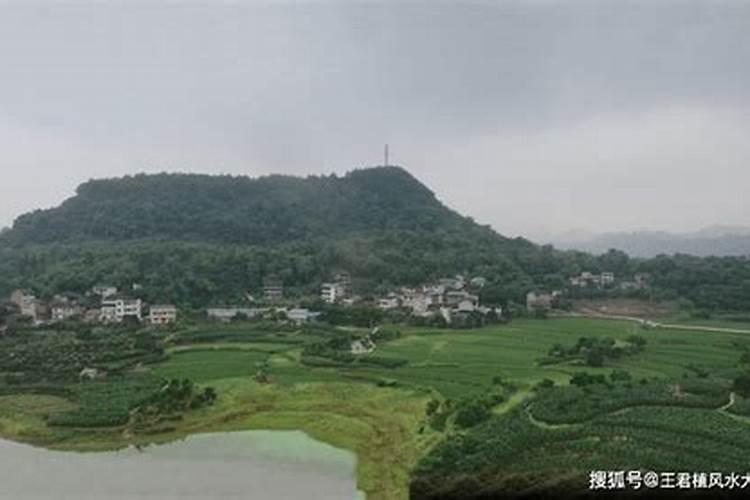 大陆命理大师排名,四柱命理预测