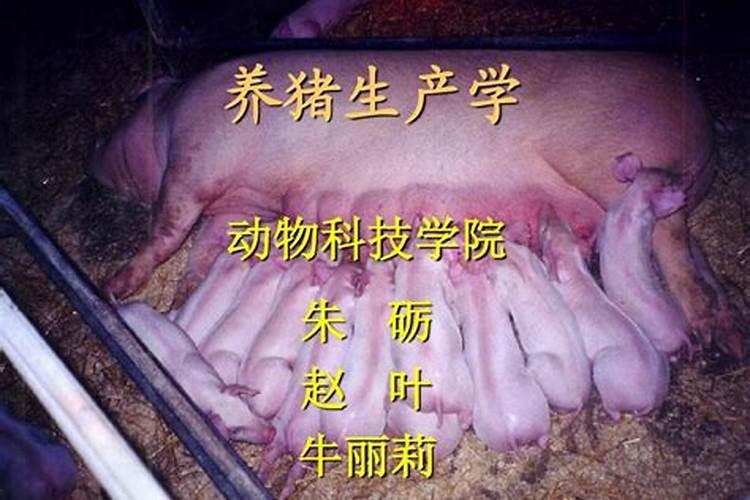 养猪场旁边是坟地好吗