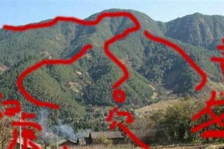 总攻大人的相关作品