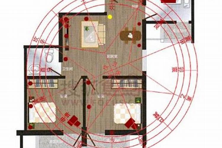 哪个大学有建筑风水学