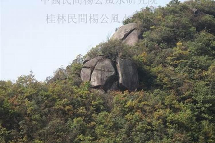 风水师必拜的祖师祠堂——杨公祠