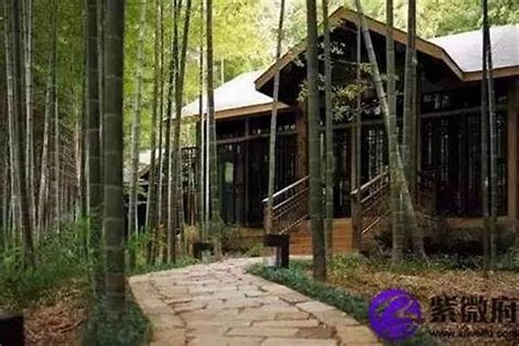 房子院里种竹子风水学上的风水怎么样