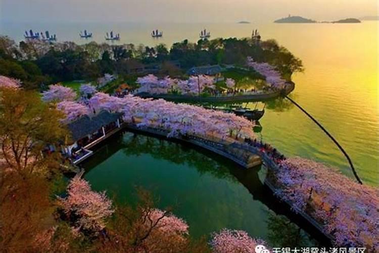 为什么地仙不给这户人家看风水