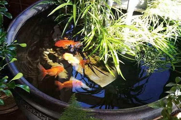 加薪升职的办公室鱼缸风水