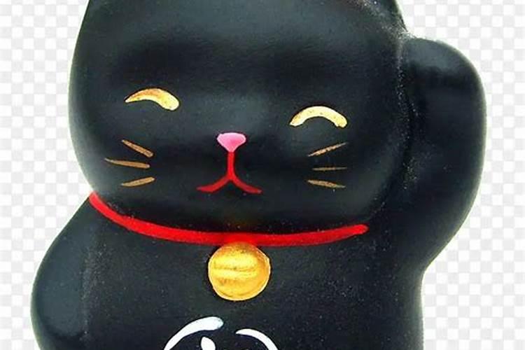 养招财猫鱼好不好,有什么说头