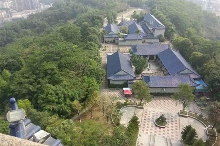 中堂镇有什么村