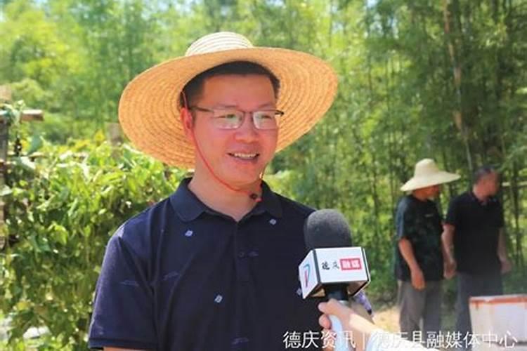 甘谷大象山位于哪儿