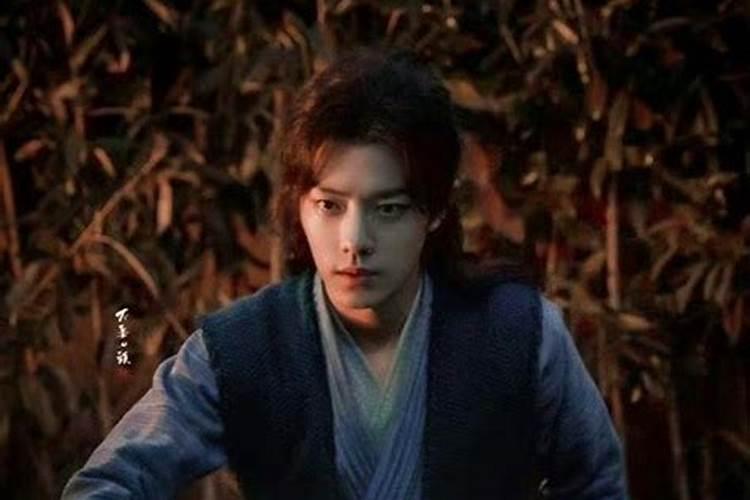 一个男主是风水师和一个一身紫气的男主叫郁什么小