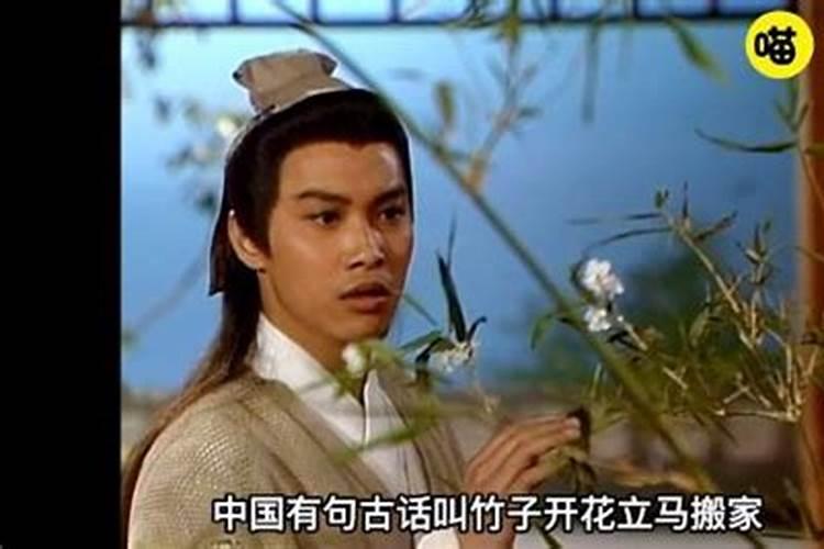 赖布衣人物生平
