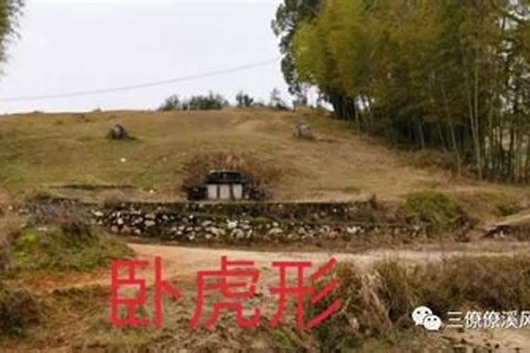 乌鸦报丧是不是真的？