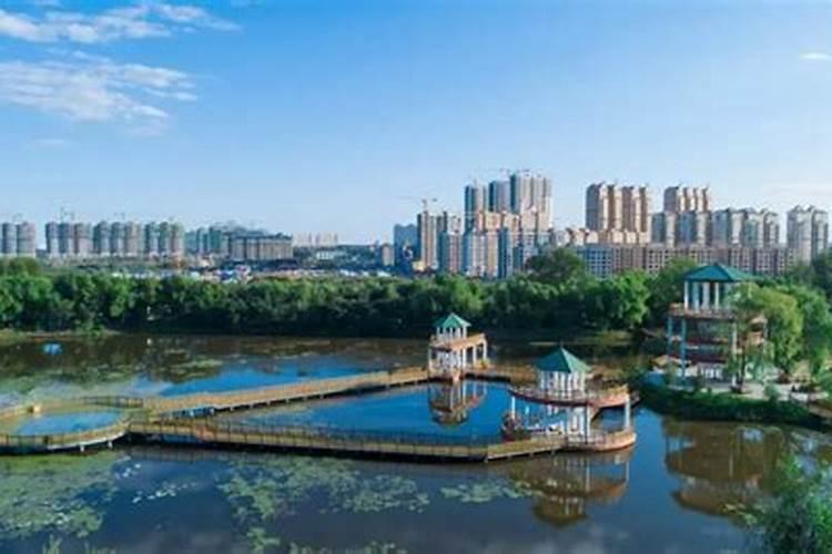 德庆的金林水乡每年的五月十三会干些什么？