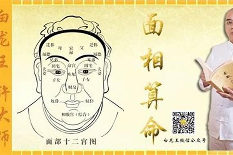 谢氏起源和祖先