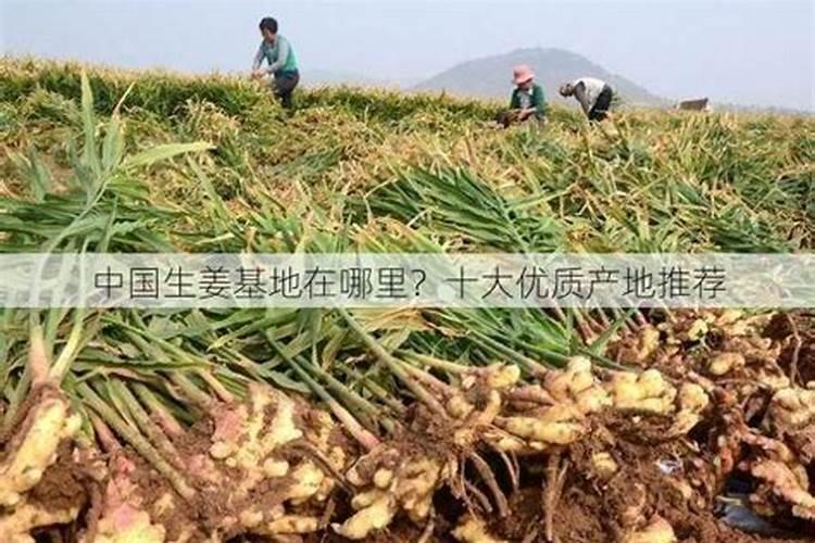 深圳住宅风水哪个地方最好？