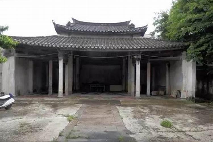 墓地有蛇代表什么
