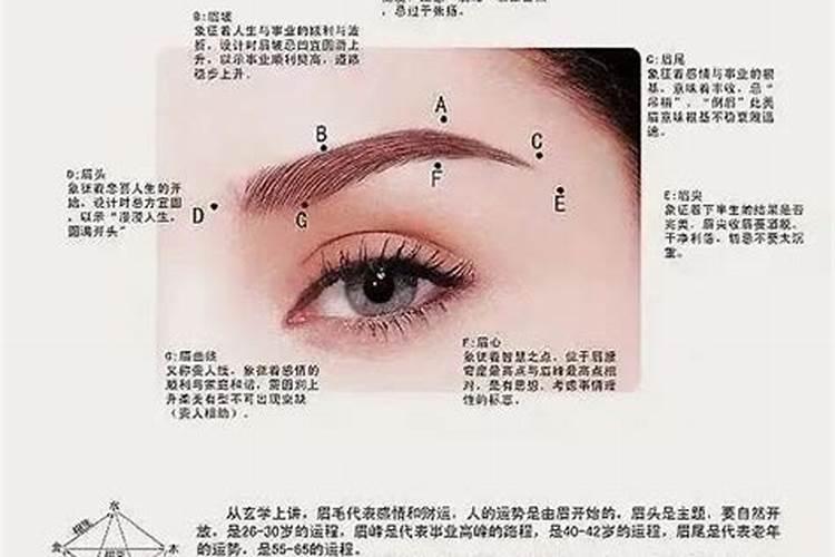 男士什么眉毛最旺财运