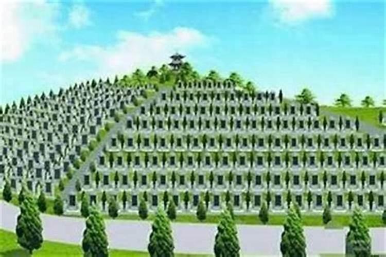 代驾司机手机导航放哪里？
