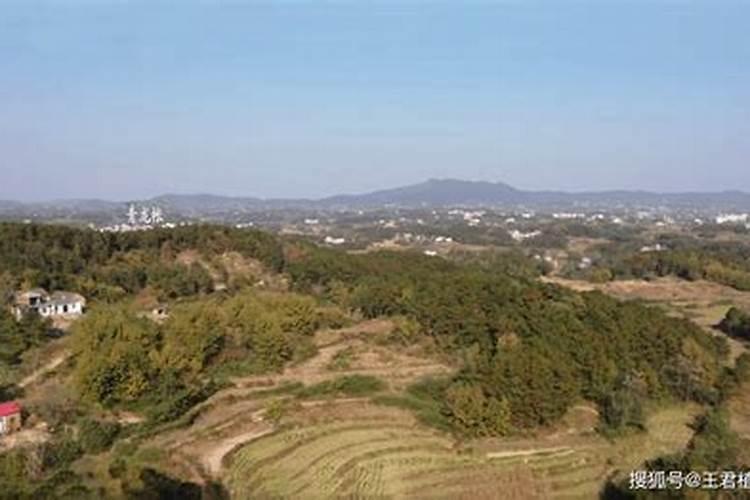 龙泉山有哪些旅游景点介绍 龙泉有什么旅游景点