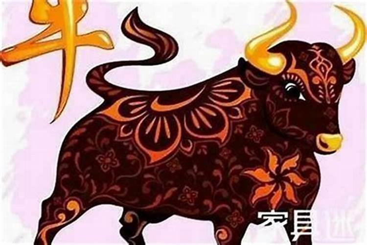 ...我想看看我的幸运数字是多少,吉祥物是什么？