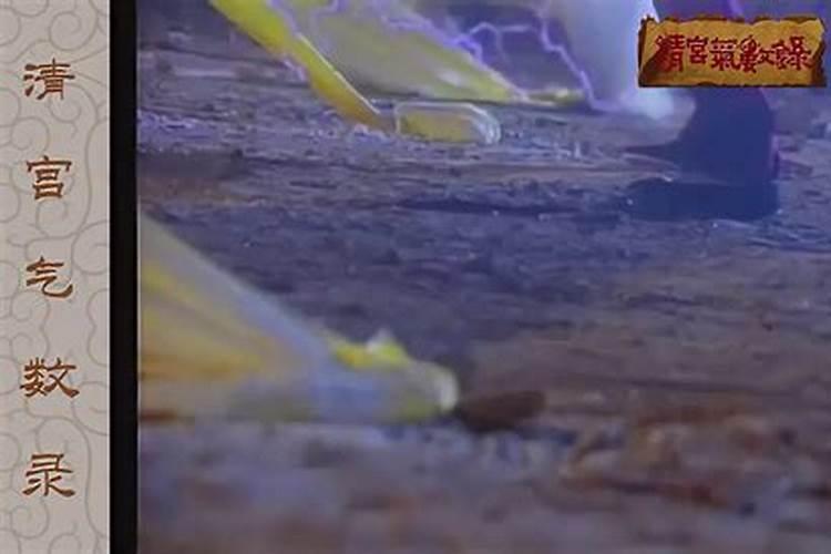 风水师电视连续剧推荐