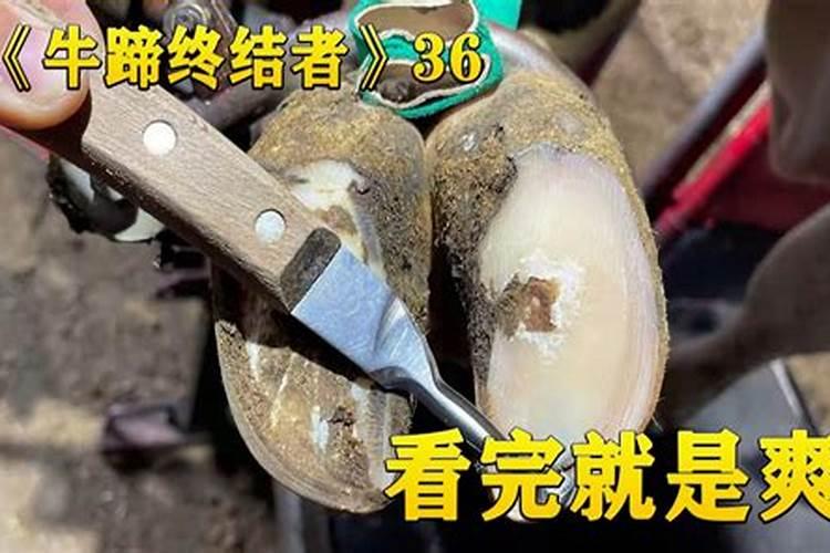 死后康熙谕祭修48座坟,挖开一座发生什么怪事？