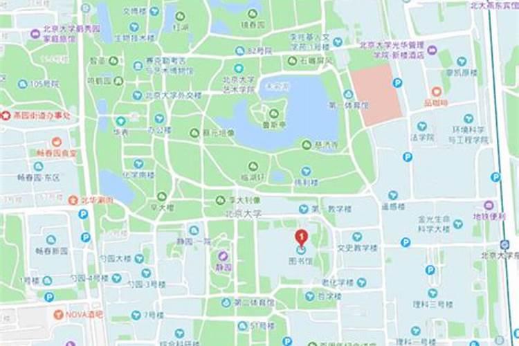 清华北大有玄学专业吗