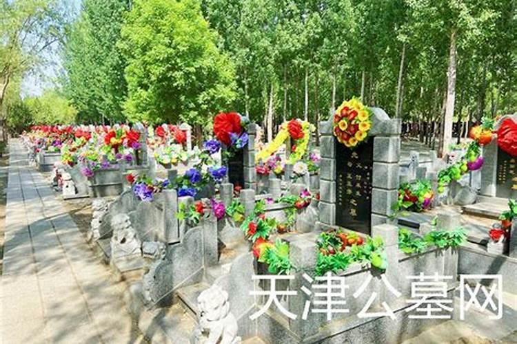 天津王庆坨公墓合法吗