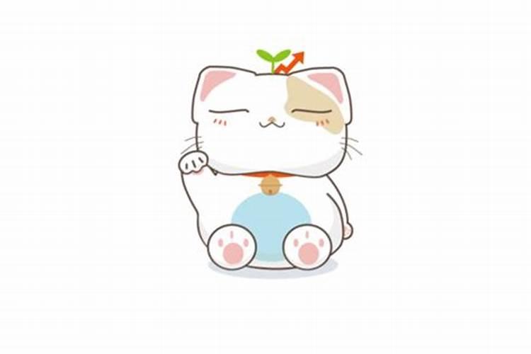 床头柜风水放什么好
