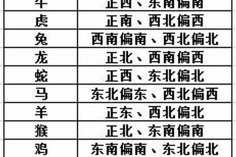 看风水的命都不好吗