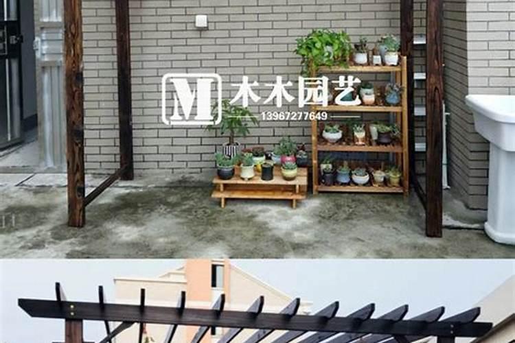 庭院种葡萄风水好吗 庭院种葡萄对风水有好处吗
