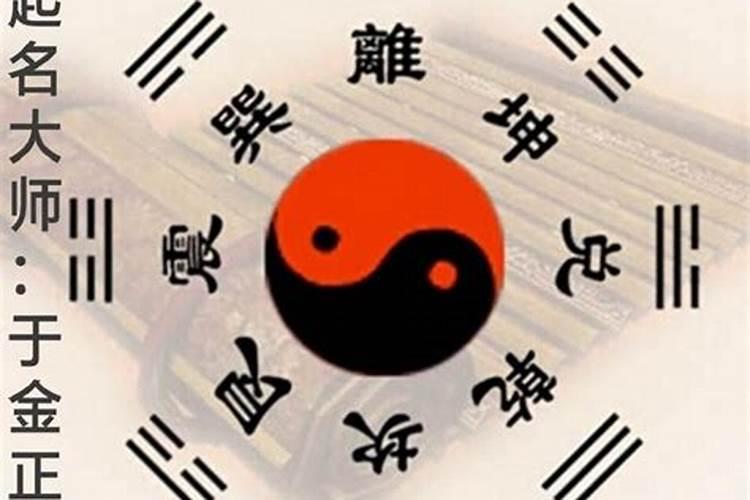 德善大师个人经历