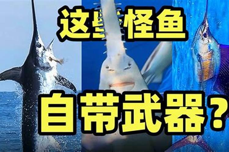 关于星座的知识有哪些