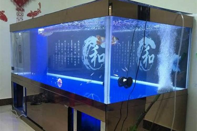 在房顶上养鱼从风水上讲吉利吗