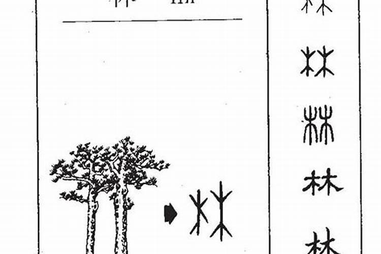 大门口左右各一棵树好吗