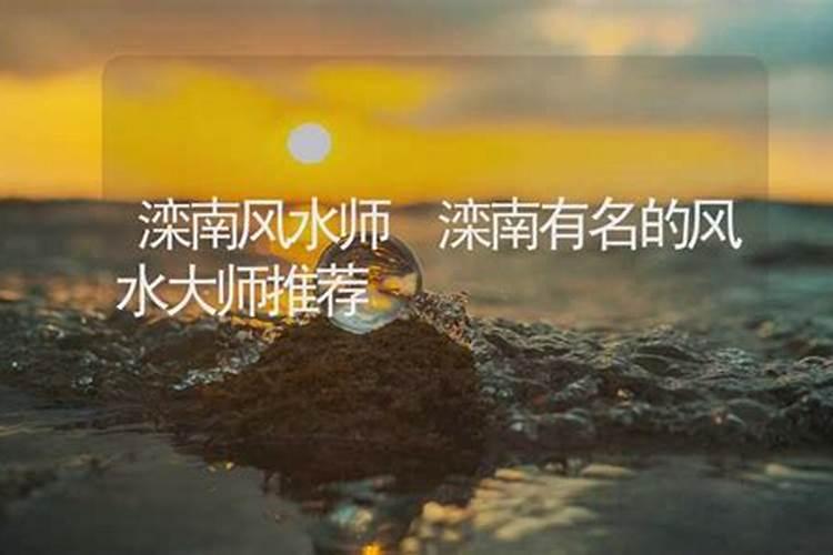 赵辰林月儿是什么小说