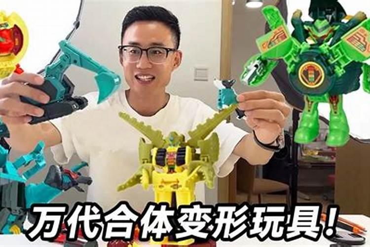 28甲龟为什么叫风水龟