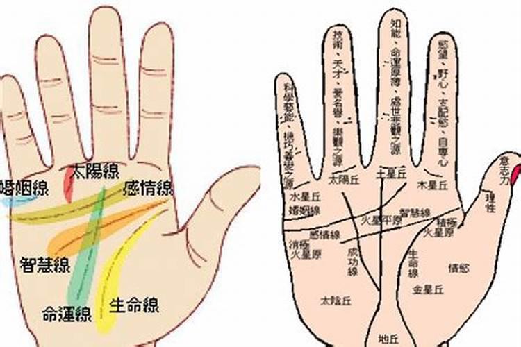 招财风水局如何布置招财风水局怎么布置