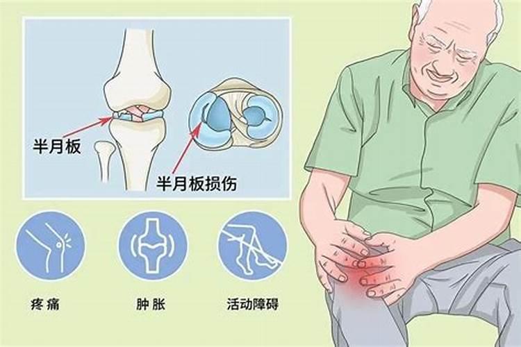 墓地种龙柏好还是塔柏好坟地种塔柏有什么讲究塔柏栽坟墓有哪些...