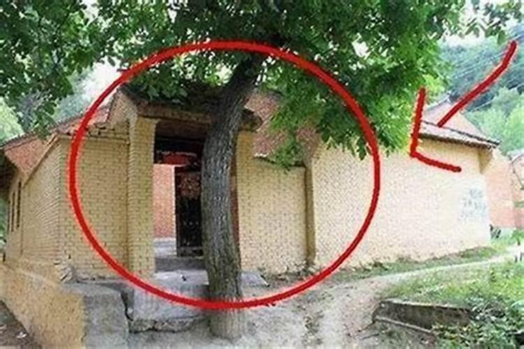 舍利塔内可住否,念佛,办公室行否？