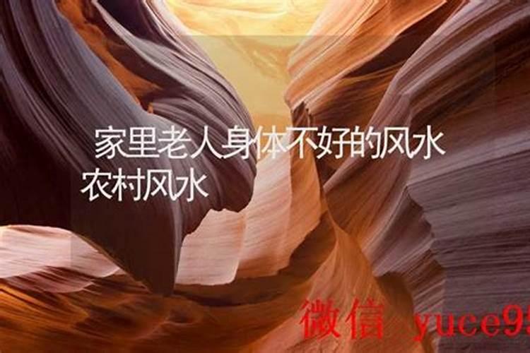 家里养猪风水禁忌家里养猪有哪些风水禁忌