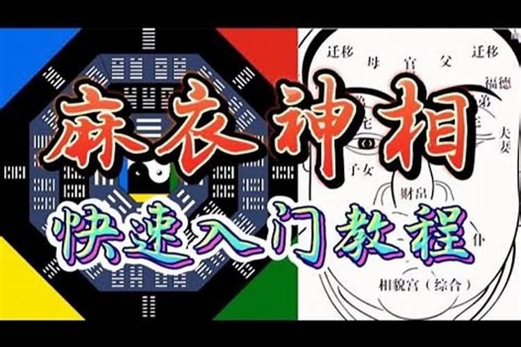 十大巅峰风水小说排行榜