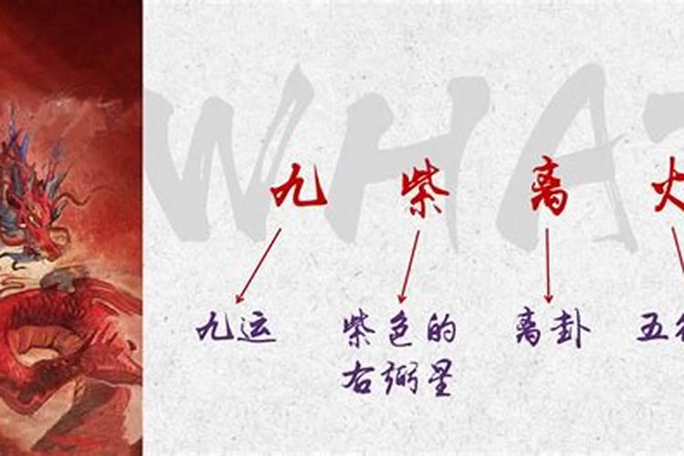 风水九紫喜庆位是家中什么位置？